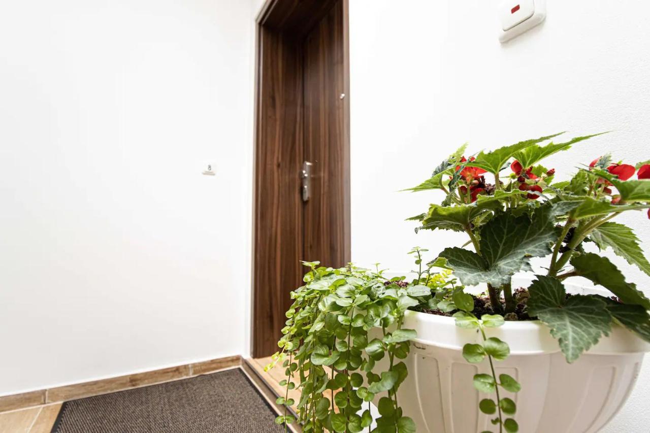 468 Plagwitz Apartment Kulturviertel لبسيا المظهر الخارجي الصورة